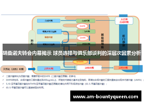 胡桑诺夫转会内幕揭示 球员选择与俱乐部谈判的深层次因素分析