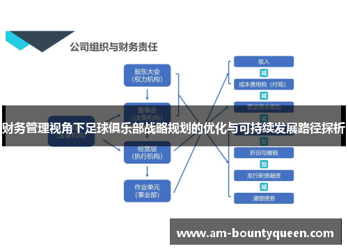 财务管理视角下足球俱乐部战略规划的优化与可持续发展路径探析 财务管理视角下足球俱乐部战略规划的优化与可持续发展路径探析