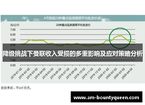 降级挑战下曼联收入受损的多重影响及应对策略分析 降级挑战下曼联收入受损的多重影响及应对策略分析