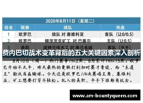 费内巴切战术变革背后的五大关键因素深入剖析 费内巴切战术变革背后的五大关键因素深入剖析