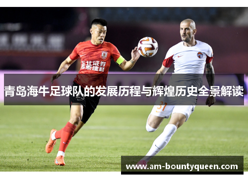 青岛海牛足球队的发展历程与辉煌历史全景解读